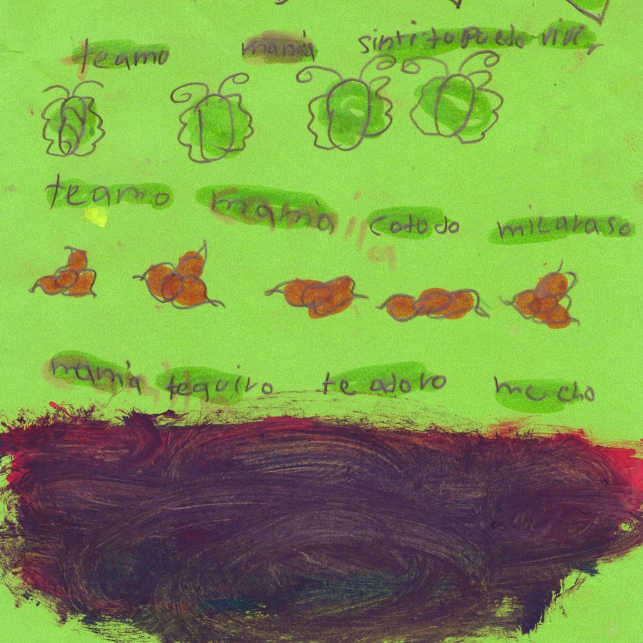 Ilustración del Taller de Ilustración en la Isla de la Plata en Bahía Málaga 2016