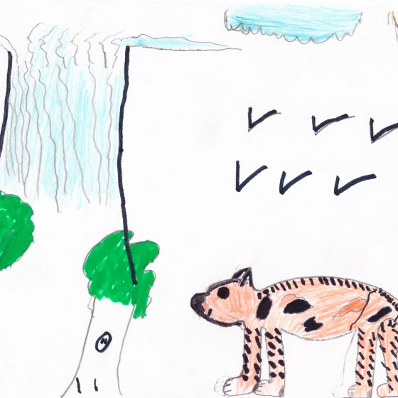 Ilustración del Taller de Ilustración en la Isla de la Plata en Bahía Málaga 2016