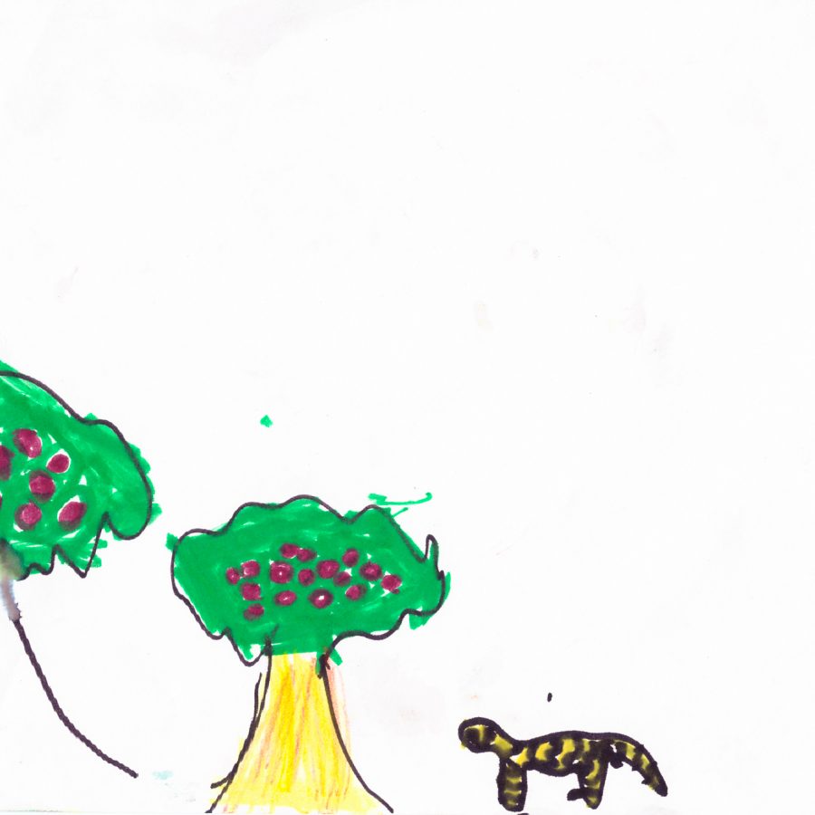 Ilustración del Taller de Ilustración en la Isla de la Plata en Bahía Málaga 2016